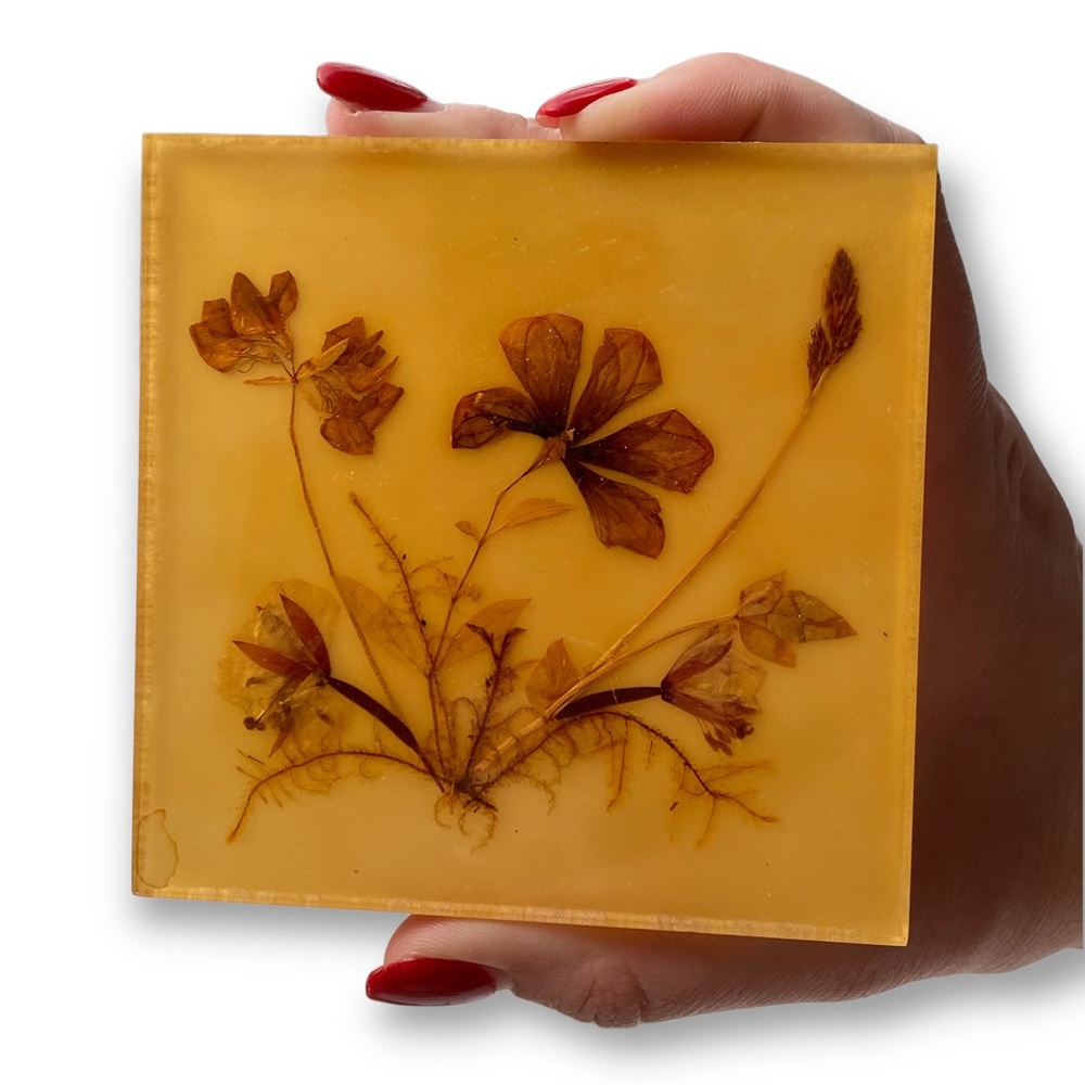 Vintage Pressed Floral Resin Square Trinket Natural Dried Flowers Germany